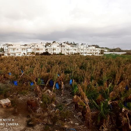 Blue Seaview Appartments Paphos Exterior foto