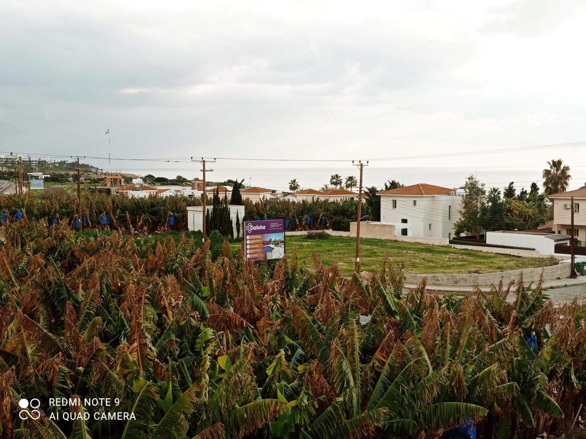 Blue Seaview Appartments Paphos Exterior foto