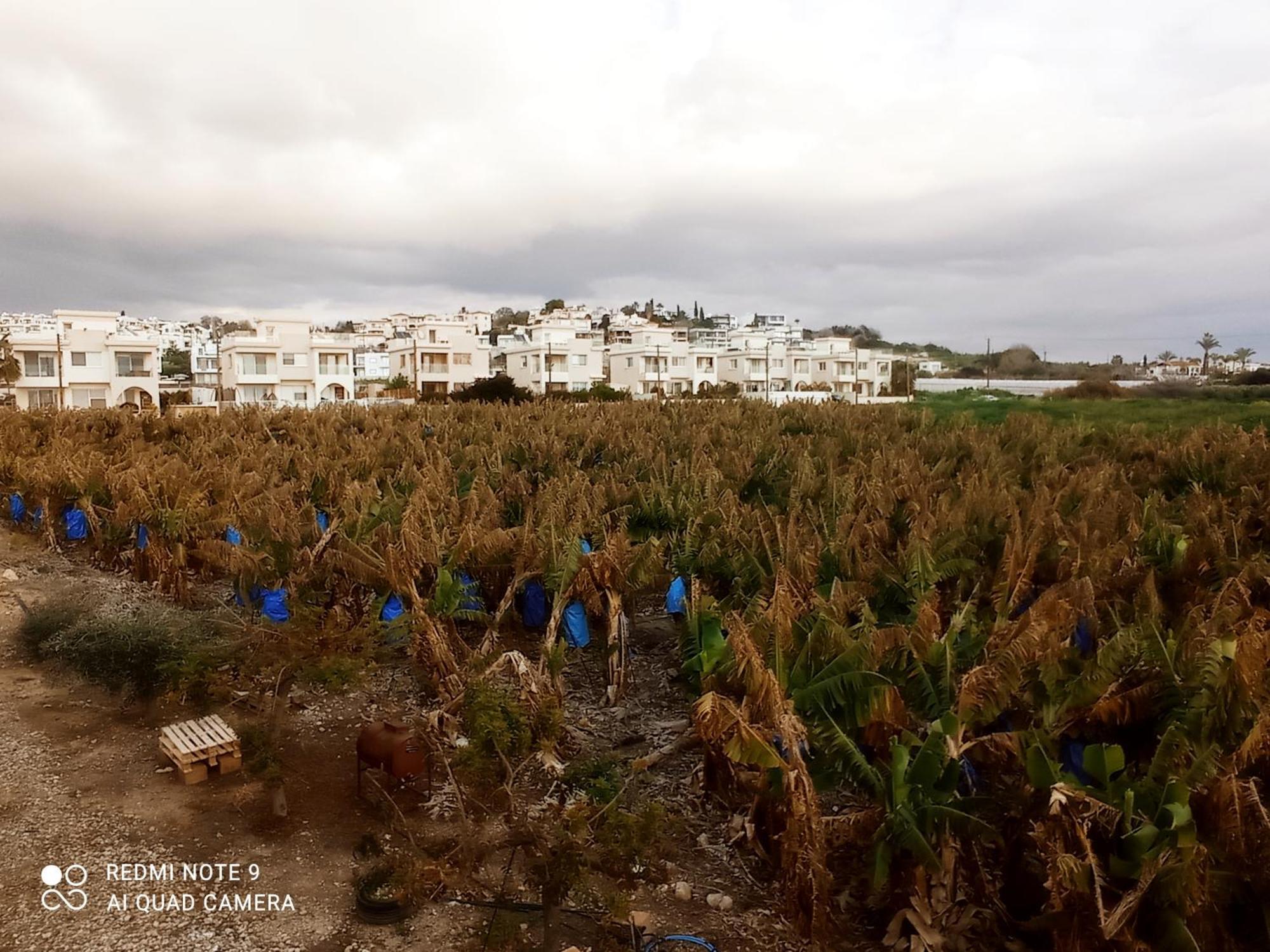 Blue Seaview Appartments Paphos Exterior foto